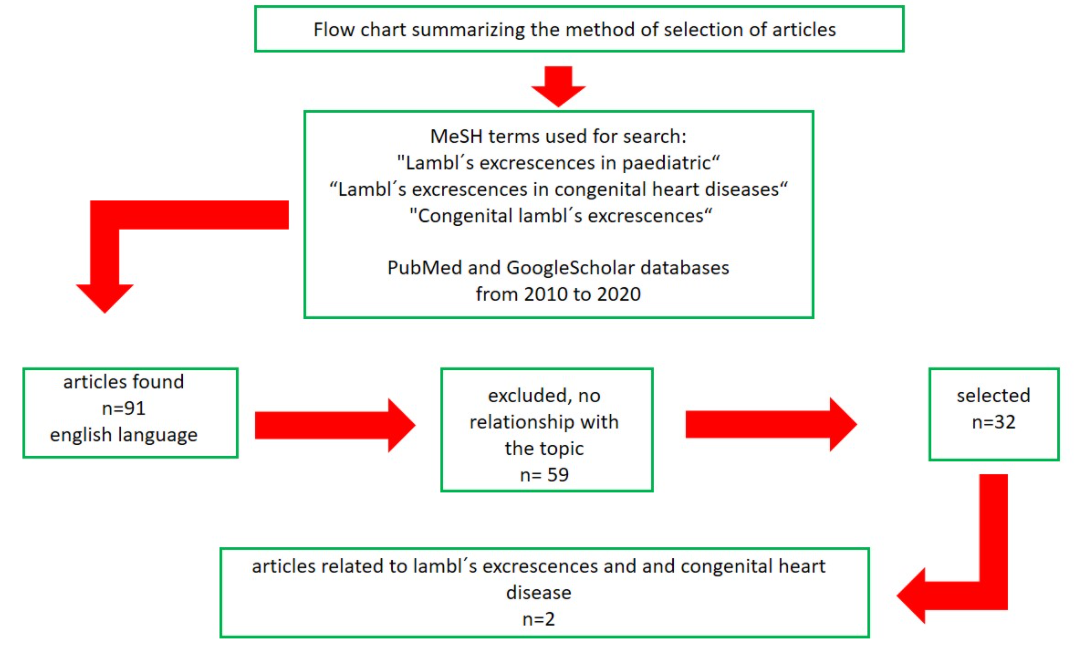 Lambl's Excrescences and Congenital Heart Disease: Could they Increase the Risk of Ischemic Stroke in Adults? A New Research Perspective